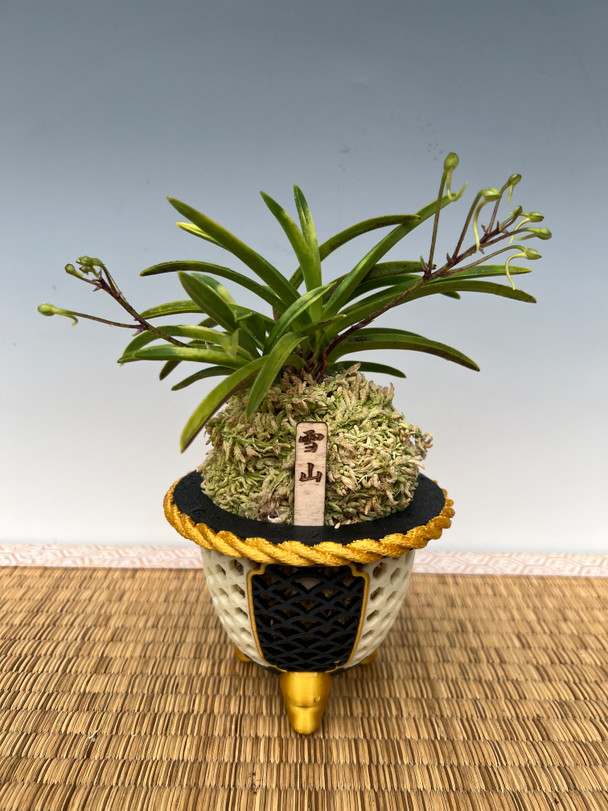 f019c73c-4ca1-422c-a29c-