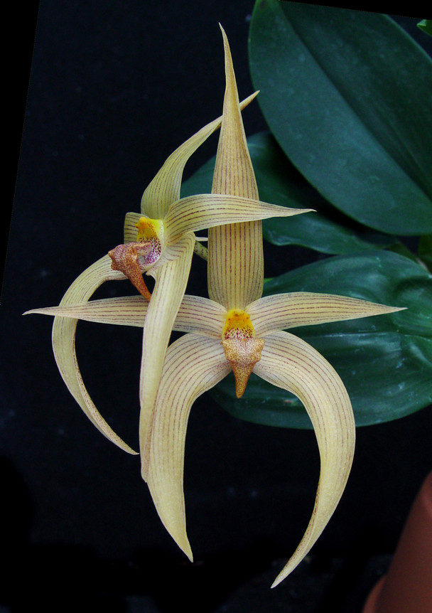 3e31832c-0043-4996-a8bc-dcacfefaae27