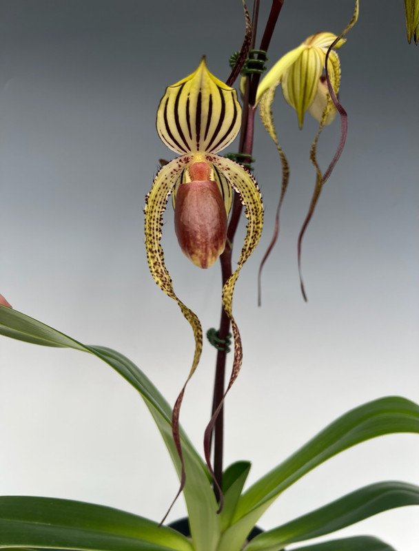 efb18aaa-95c8-40c9-9783-870e634069cb