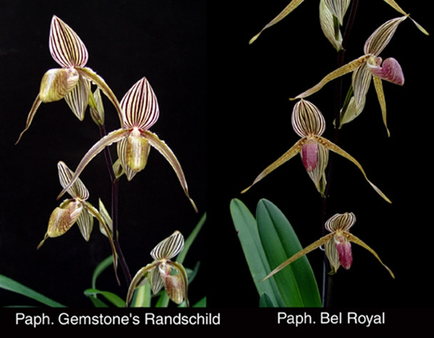 0f1ddcc7-facc-4c47-883c-8d66cc00d827