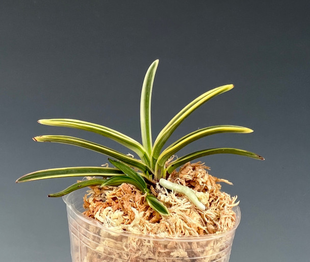 2db16604-87e5-4546-a2e8-f504abbd9290