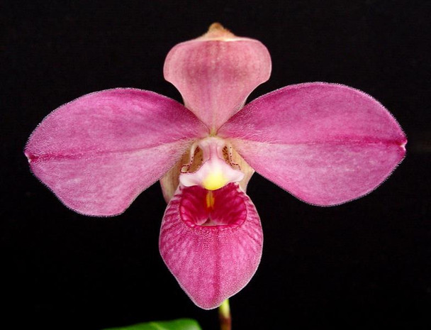 c2f7459d-13f5-4b1e-afc5-bfb4bcf02772