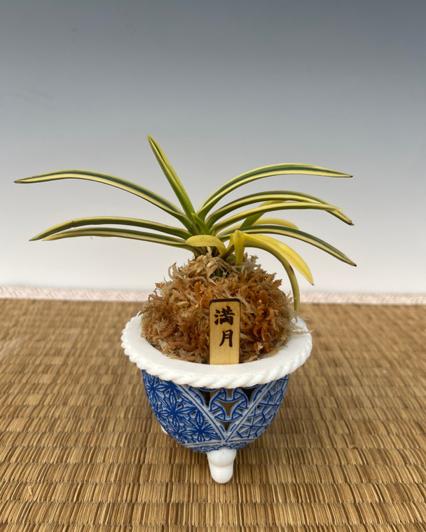 0f260469-e049-4b4e-9021-bb7334681445