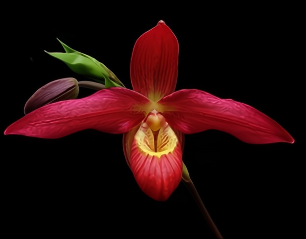 d495bdd5-f129-406b-b213-1937692dca22