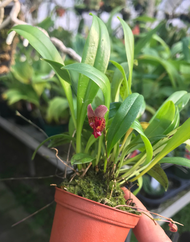 622ad962-a8d7-4de8-8a9d-5cec0e47277c