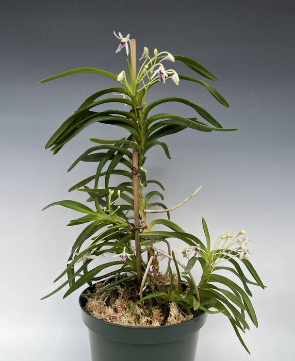 83c496c7-4b79-43bb-aad2-d5abdaa60d36