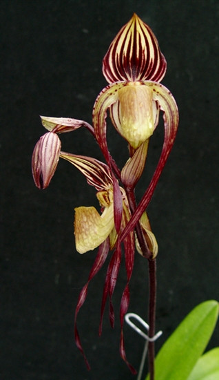 c220a0fd-105e-4b27-b9dc-ad5e0aeb41ed