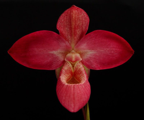 8a5ef7a0-51e5-437d-b9dc-d1131b0acbc4