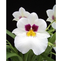 60fae7b0-007c-49af-9b41-d057efa790d3