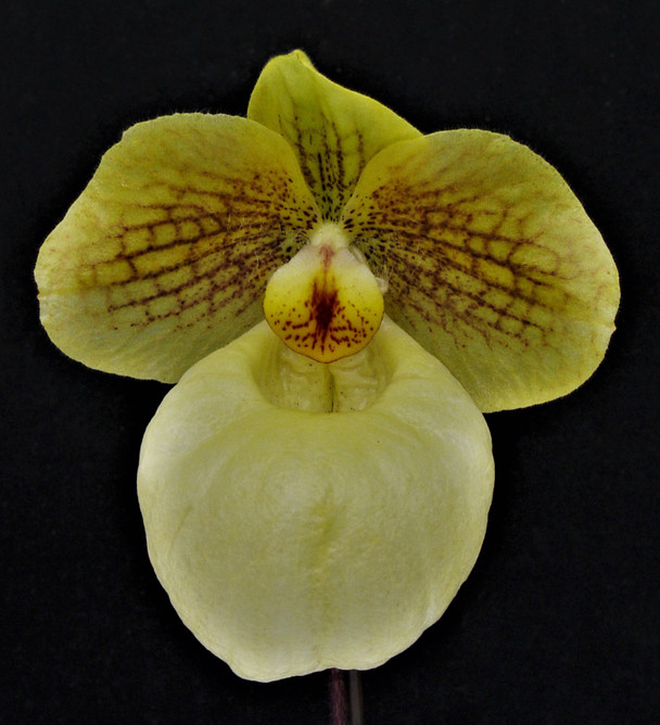 4513617a-243f-4398-ba45-766b11fcb3e5