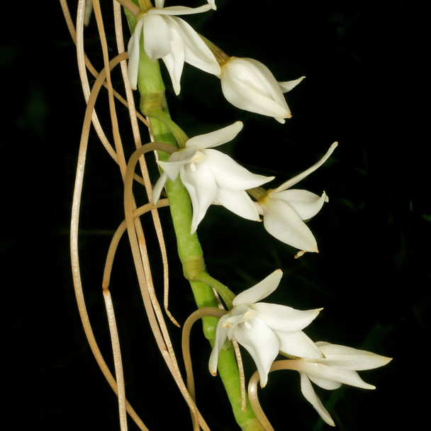 f7ccf234-b0d0-473a-b35c-a4c36da39cb3