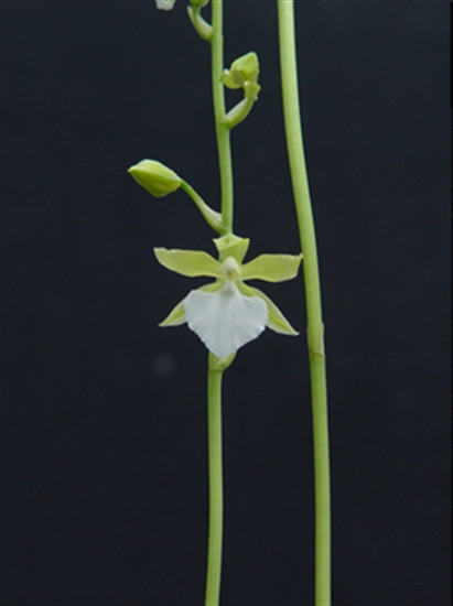 5fe80e32-05d9-493f-924a-ddfc368250e3