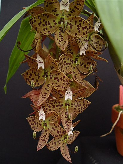 51012873-f338-40e8-97f5-be89063f2d84