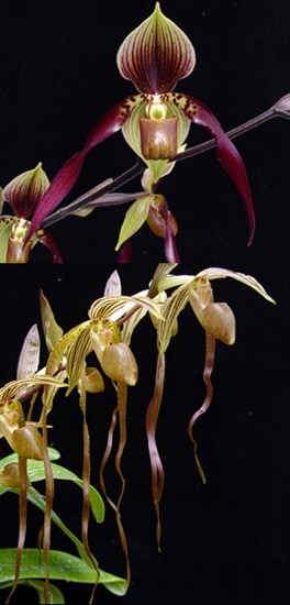 1005e10c-617b-4679-b320-5645e20ba4a6