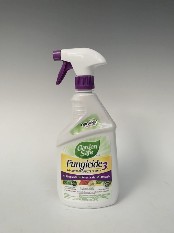 43eccce7-d066-4211-8804-49f4ea7b5f63