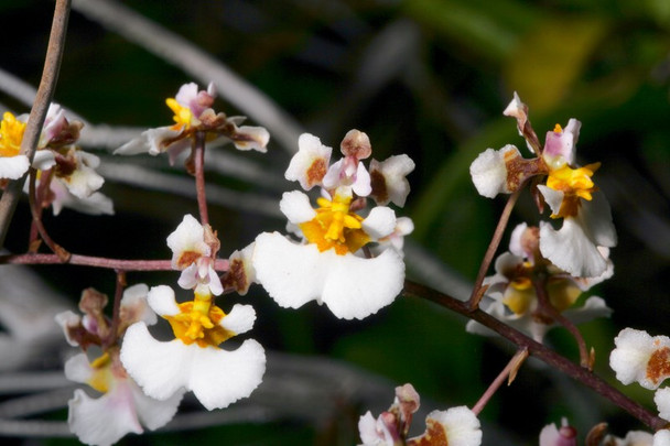 67954813-230d-47d5-825b-428f0725ec2e