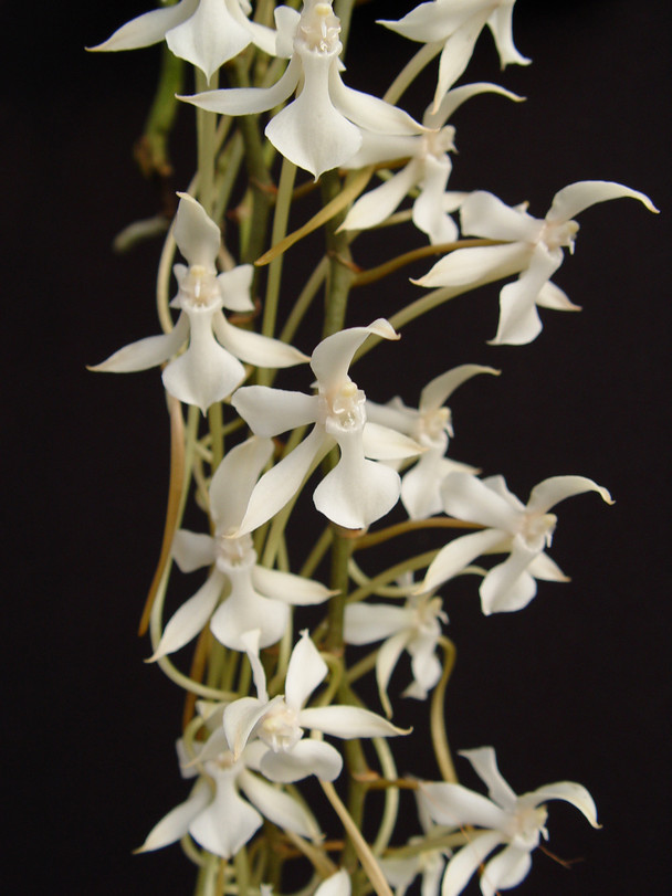 45ceab72-ea1e-4230-8d54-69e0e669678b