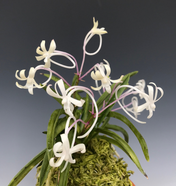 3c3c9a17-a090-4b1f-88d3-81dbca6b4dc6