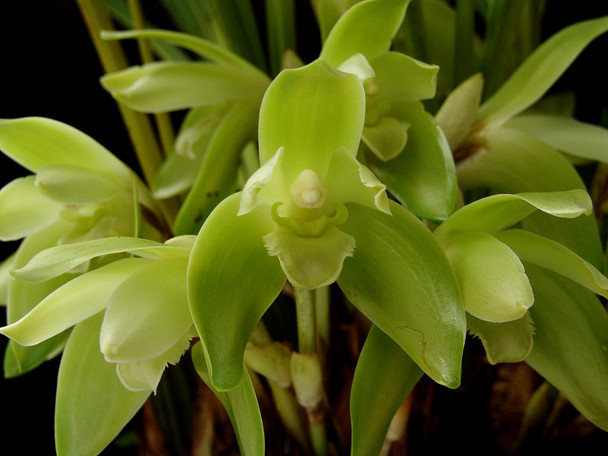 e63bfc64-19b9-4f77-9e18-c03e438e2a73