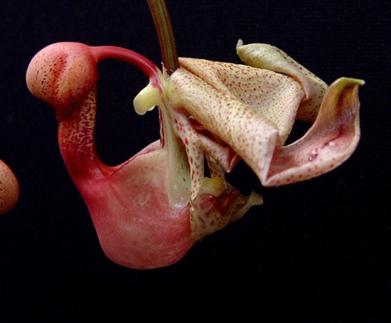 8bd8e7fe-79f7-4a82-b58e-7b1ac03ac03b