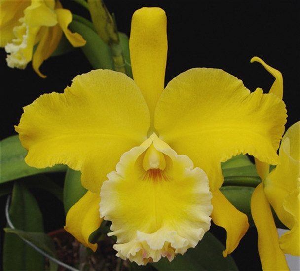 423dbf1f-1729-43a0-9b5c-ae86775e682f