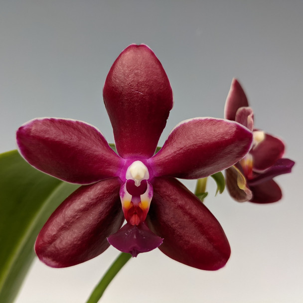 dc956d5e-57ef-4287-ae94-f96e48aee2b5