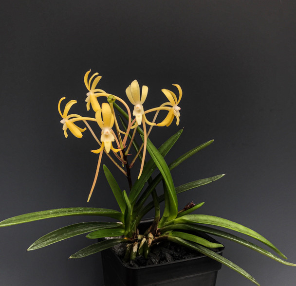 33be927c-193f-4605-8b0b-c428ca8825cd