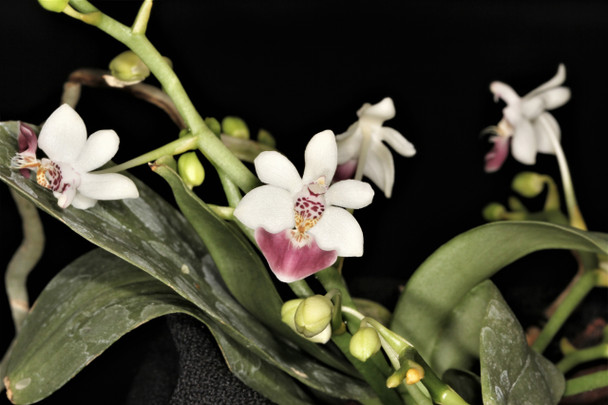 de6360b6-fbfe-46ae-a1cd-ddf81b71d941