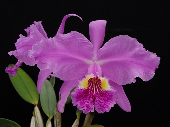 0596caea-e6e6-4071-aef3-8d8e4684f4b3