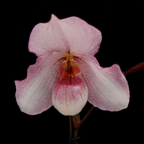 19061c80-f160-4be3-a14d-0ad6c3950385