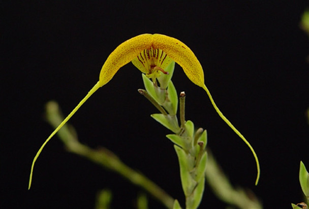 b00c1b4f-1055-4c27-839d-2ac5860e7108