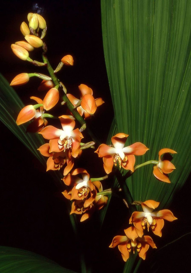 89a57b02-840e-4272-ac79-b862b5705ae7