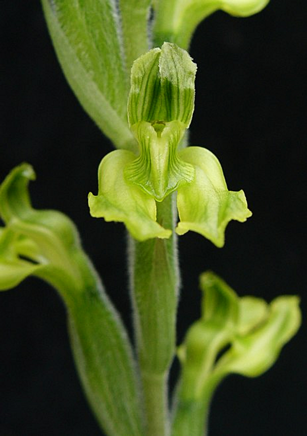 af182374-0d76-4909-bddc-4c513cfbba0e