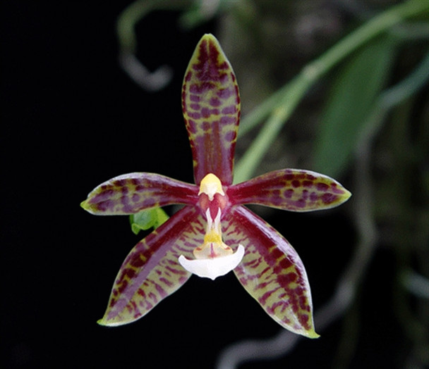 30f569e3-f9d7-40f0-a161-1239e20c5d07