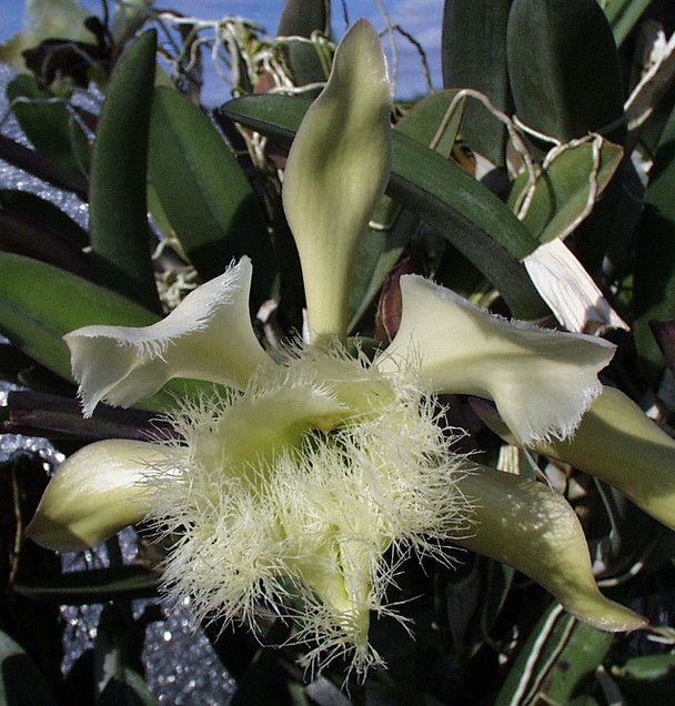 2028aca6-0eb2-4925-b145-db982d0f5189