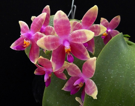 05e6fa30-770e-4ab7-9510-f1d708617ea4