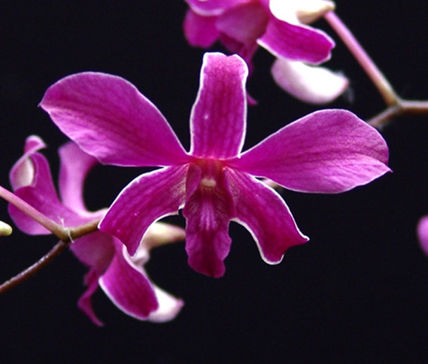 38770505-1f28-4979-aac8-c1521c1d9bdf