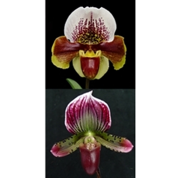 00ed73bc-440d-4d5d-8693-295b41a5f8d2