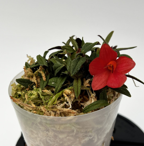 d5febb00-50d7-4236-b166-dfda2ce2e7ed