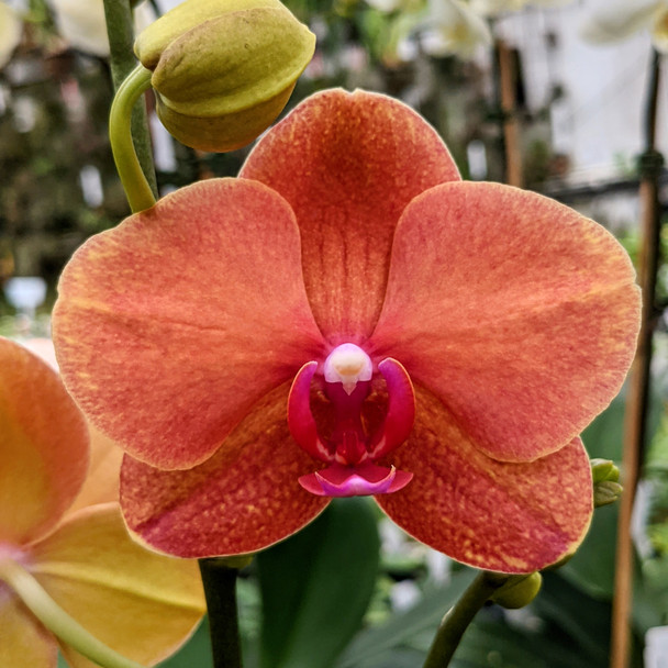 33baa3d3-378a-4327-a365-5a1d8598b528