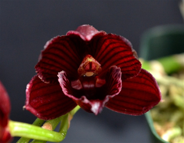 0301dd50-942b-461d-81ff-686ce87ce6c6