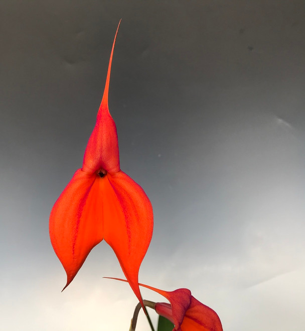 189214ad-6d04-433e-b888-81a3cfcd0a26