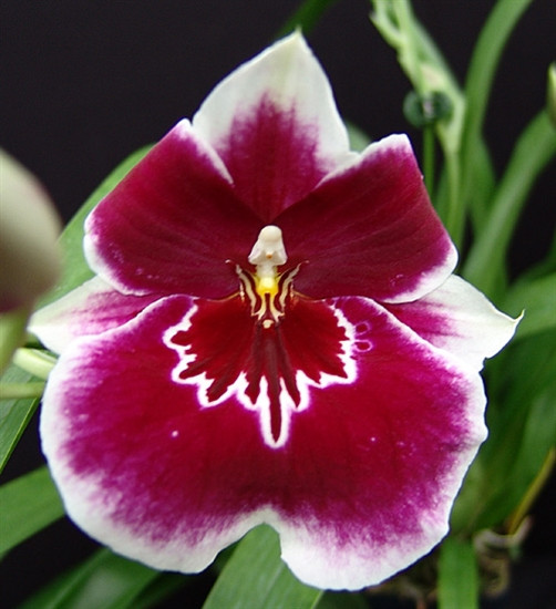 5b55d9d7-8819-4634-a5c0-44ac9c8b7968