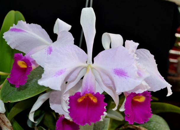 b6732600-07e7-4deb-8d71-76c81818cc55