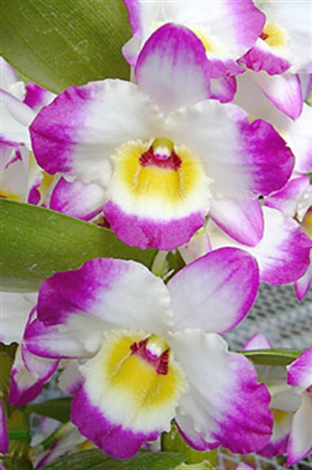 0d3c3acb-1eb2-4599-8d70-4f10d6f31d5c