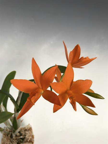 4aa6f420-6290-40fa-b5b3-54cfcbb712dc