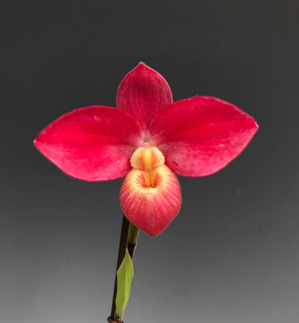 68cea3bc-34fb-4536-9ac3-704af65e30dd