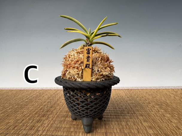 9ca5a009-fee7-421f-abe3-b9ca0bac7838