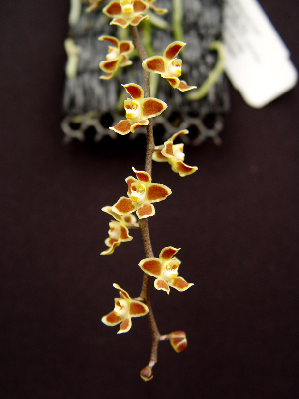 90696959-c9f0-41cb-a476-4dfcbf3f3795