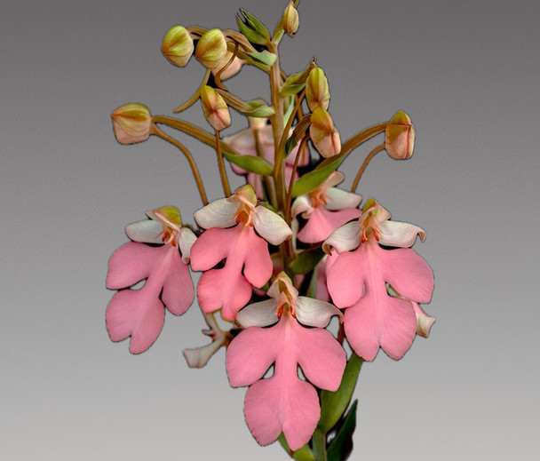 dcc49ab1-15ef-4909-8a91-3b068bc5f888